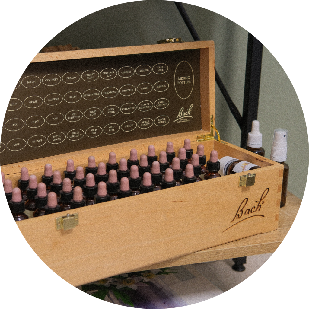 mallette de fleurs de bach avec les 38 fleurs